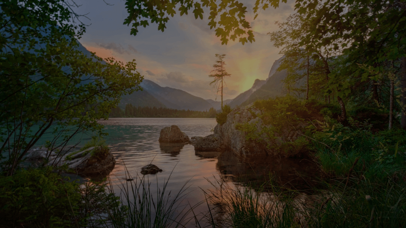 测试专用付费文章